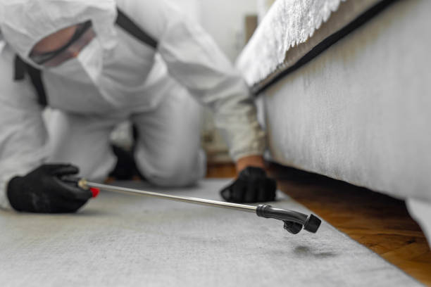 Professional Termite Control technician working in Dickinson, ND