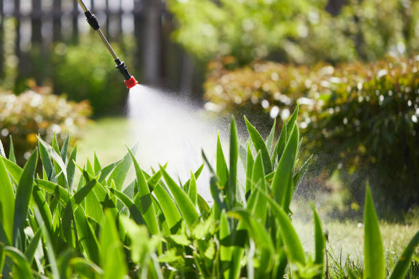 24/7 Emergency Termite Control experts in Dickinson, ND
