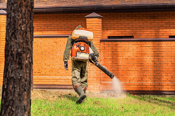 Top rated local Termite Control specialists in Dickinson, ND